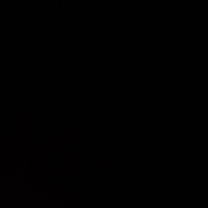 Meet your Posher, Peyton